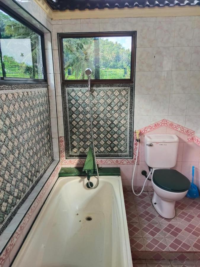 Dau Homestay Karangasem エクステリア 写真