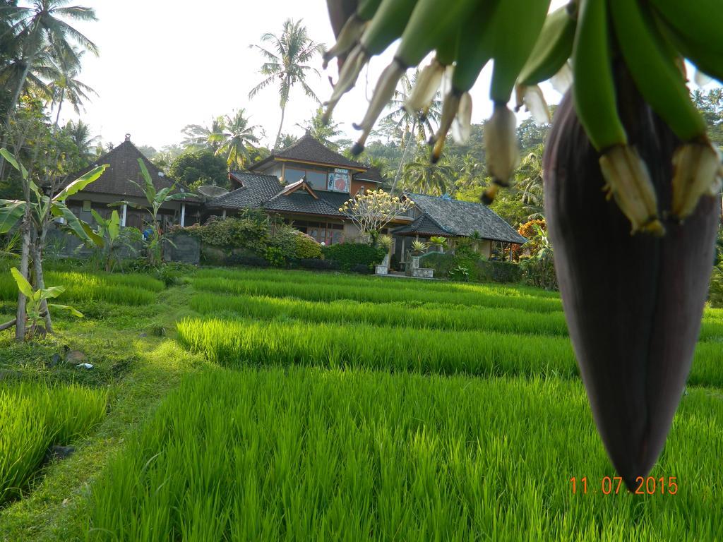 Dau Homestay Karangasem エクステリア 写真